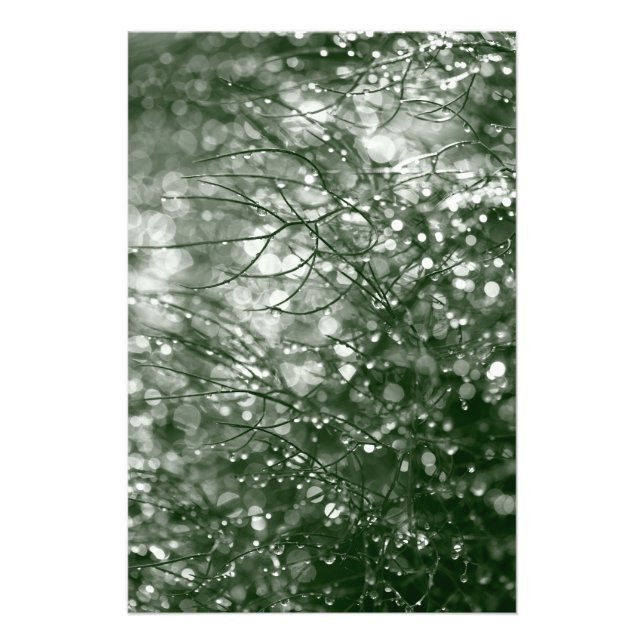 Raindrops Photo Print (Front)