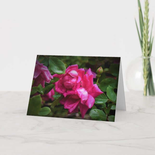 Raindrops & Red Roses, card (Front)