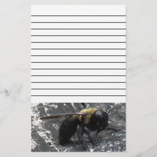 Raindrops Stationery