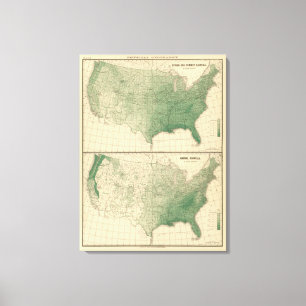 Rainfall Canvas Print