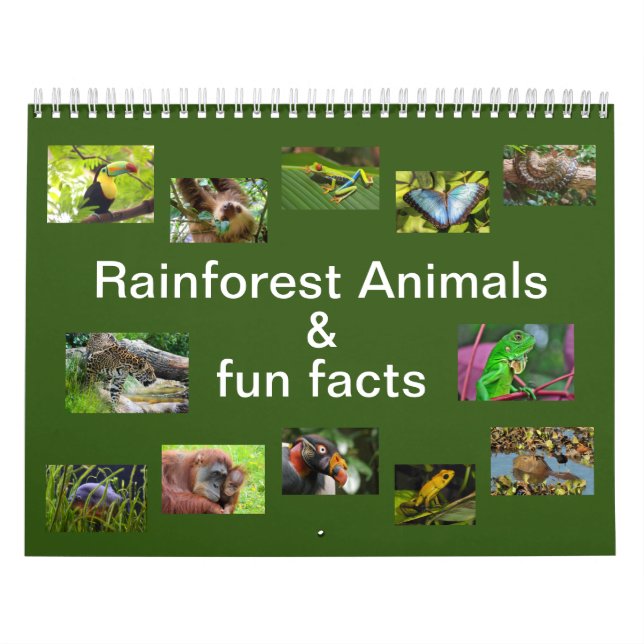 Rainforest Animals & Fun Facts 12 month Calendar (Cover)