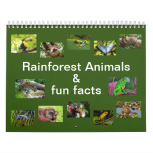 Rainforest Animals & Fun Facts 12 month Calendar
