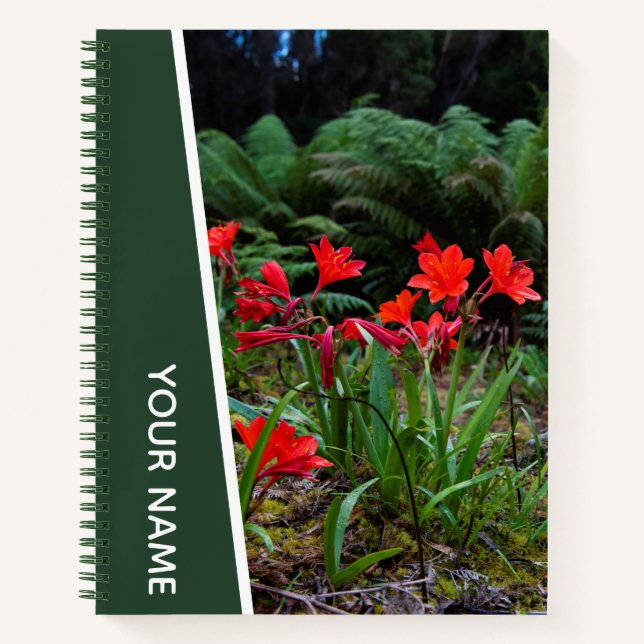 Rainforest Ferns Trees Palms, Australia, Green Notebook (Front)
