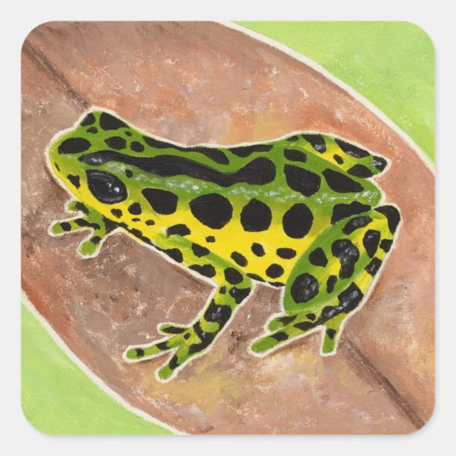 Rainforest Frog Square Sticker (Front)