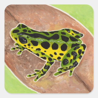 Rainforest Frog Square Sticker