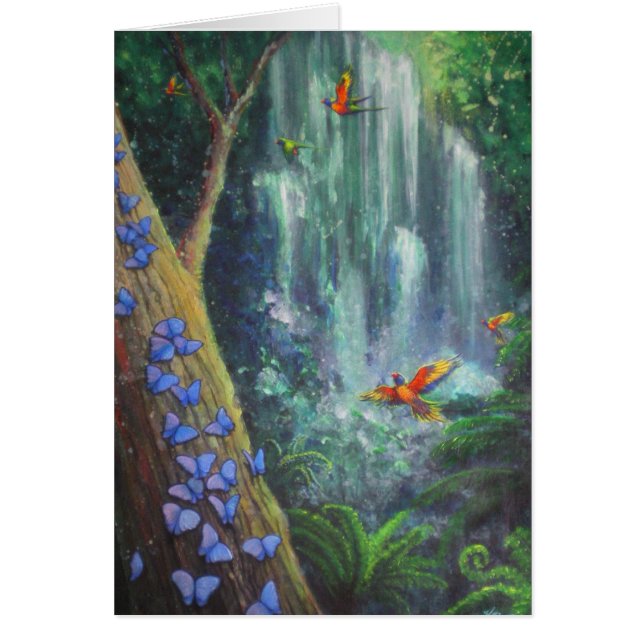 Rainforest Magic (Front)