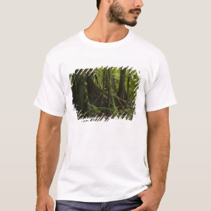 Rainforest, Mapari River North Rupununi, T-Shirt