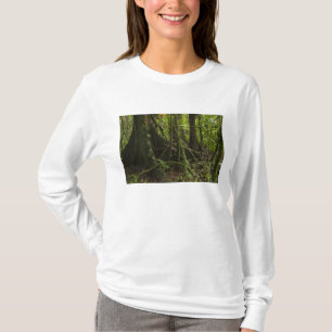 Rainforest, Mapari River North Rupununi, T-Shirt