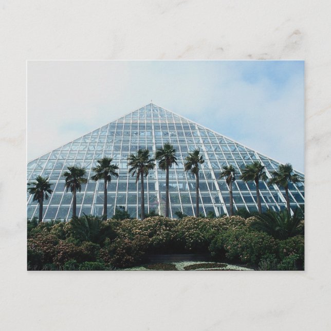 Rainforest pyramid, southern Texas, U.S.A. Postcard (Front)