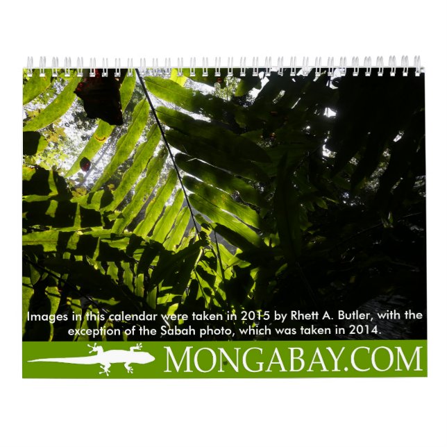 Rainforest trees calendar (Back)
