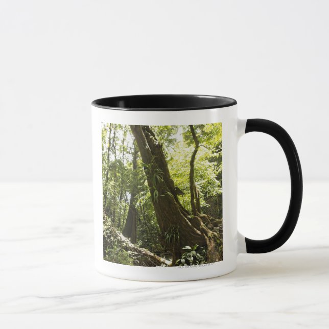 rainforest view, Dominica Mug (Right)