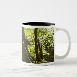 rainforest view, Dominica Two-Tone Coffee Mug
