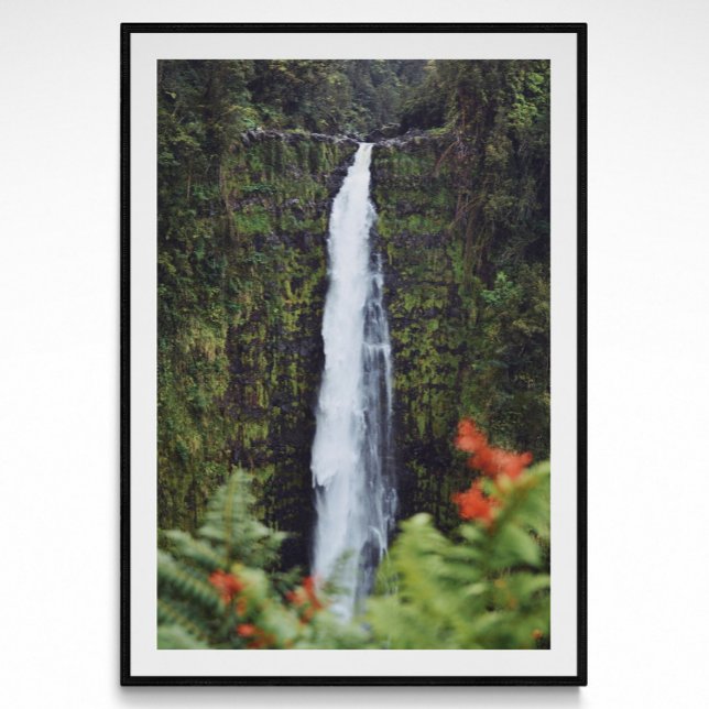 Rainforest Waterfall Photography Poster (Creator Uploaded)
