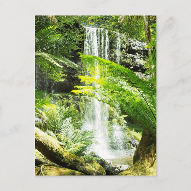 Rainforest Waterfall Postcard (Front)