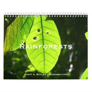 Rainforests Calendar