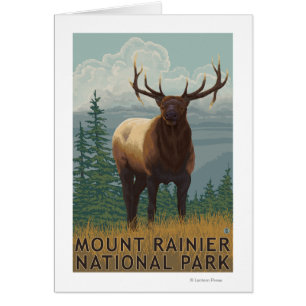 Rainier National Park, WashingtonElk Scene