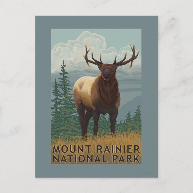 Rainier National Park, WashingtonElk Scene Postcard (Front)
