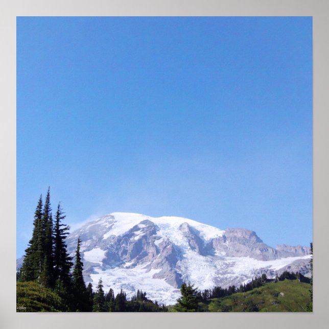 Rainier PDSC213 Poster (Front)