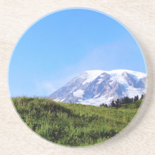 Rainier PDSC230 Coaster