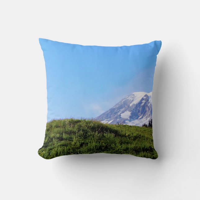 Rainier PDSC230 Cushion (Front)