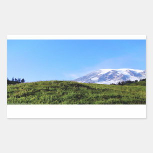 Rainier PDSC230 Rectangular Sticker