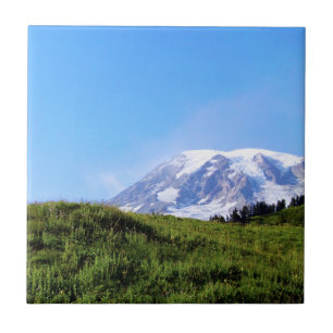 Rainier PDSC230 Tile