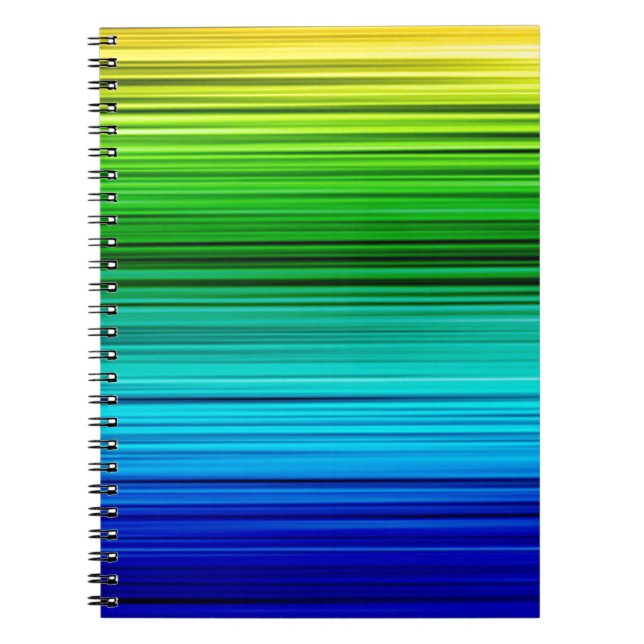 Rainobw Spiral Notebook (Front)