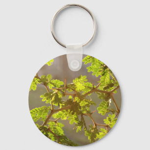 Raintree Branches Bonsai Photo Key Ring