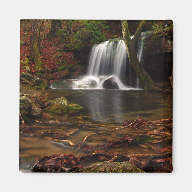 Rainy Day at Laurel Falls Magnet (Front)