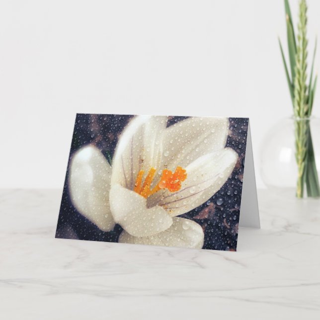 Rainy Day Crocus Flower Card (Front)