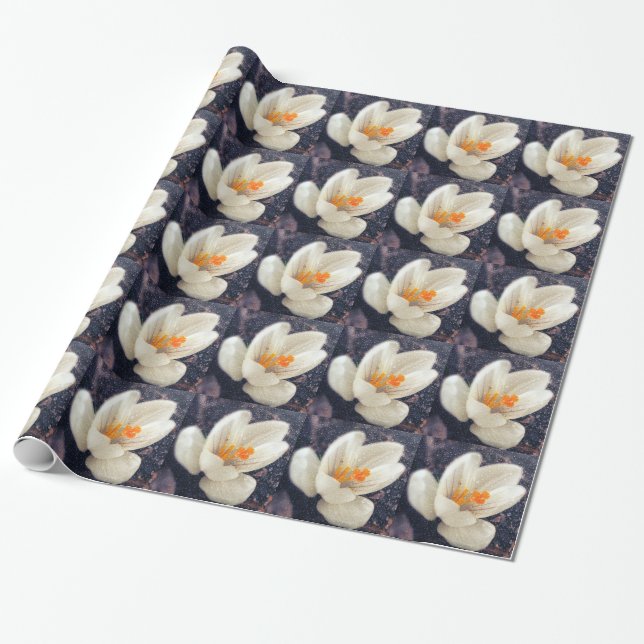 Rainy Day Crocus Flower Wrapping Paper (Unrolled)