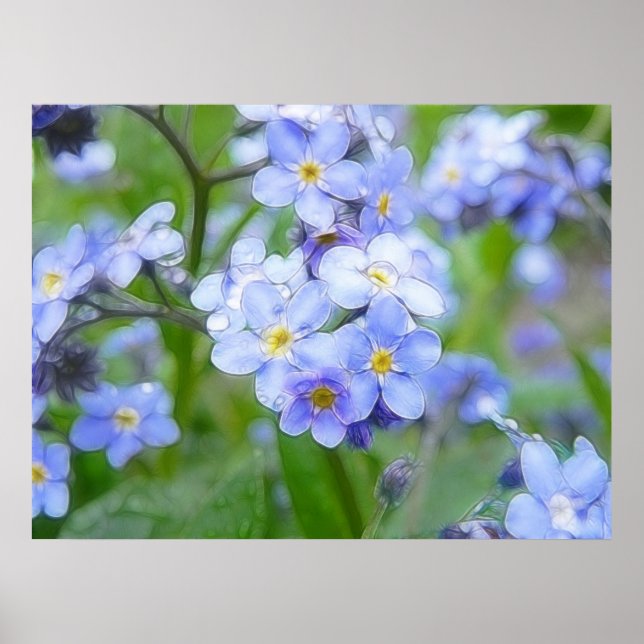 Rainy Day Forget Me Nots Poster (Front)