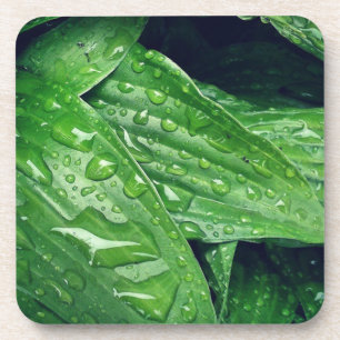 Rainy Day Hosta Leaves Coaster