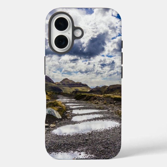 Rainy Day In Torres Del Paine NP Case-Mate iPhone Case (Back)