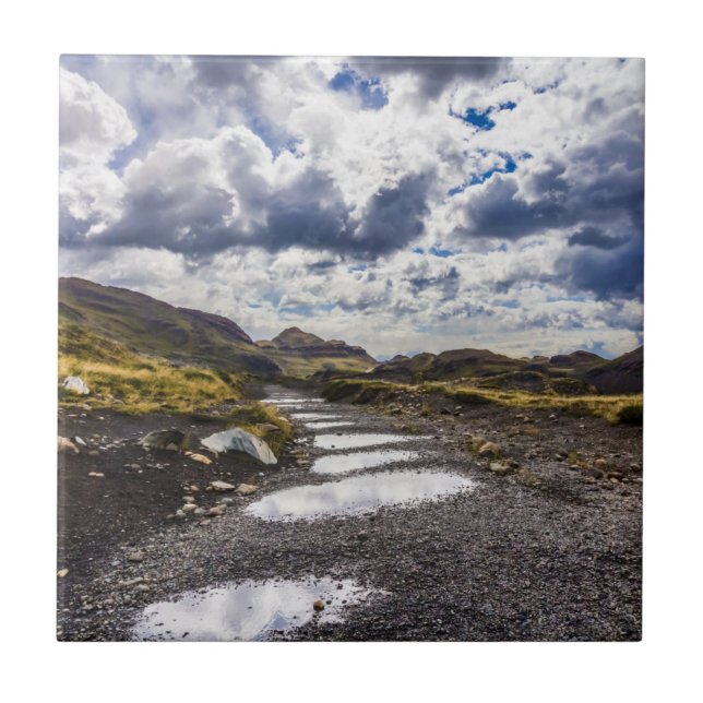 Rainy Day In Torres Del Paine NP Tile (Front)