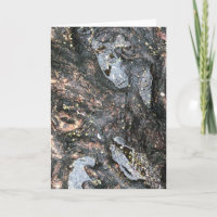 Rainy Day Tree Roots Puddle Nature Photography