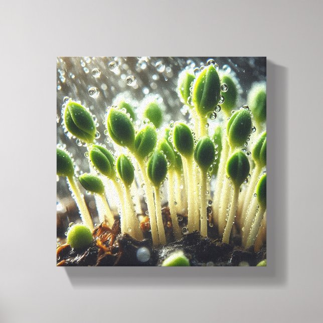 Rainy Growth - Canvas Print (Front)