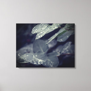Rainy Leaves Canvas Print