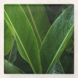 Rainy Tropical Leaves, Dark green botanical Glass Coaster