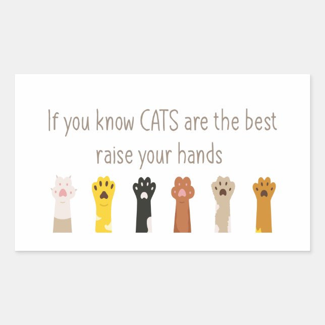 Raise Your Hands Cats Are Best Fun Quote   Rectangular Sticker (Front)