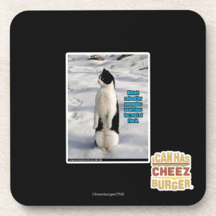 Raised by Penguins Coaster
