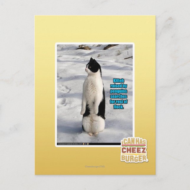 Raised by Penguins Postcard (Front)