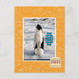 Raised by Penguins Postcard