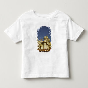 Rajasthan, India A woman standing at and accient Toddler T-Shirt