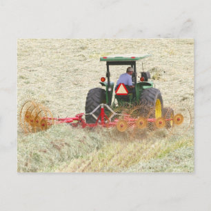 Raking Hay On A Summer Day Postcard