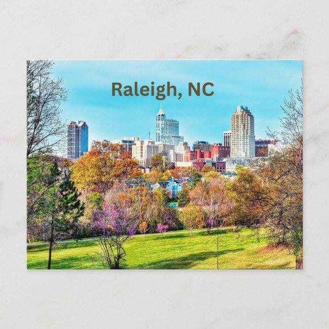 Raleigh, North Carolina Downtown  Postcard (Front)