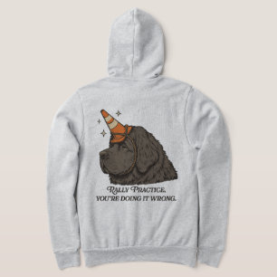 Rally Practice, You're Doing It Wrong Hoodie