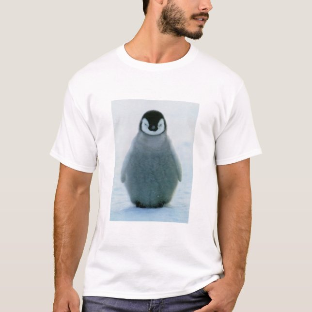 ralph T-Shirt (Front)