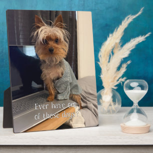 Ralphie the Teacup Yorkie One of Those Days Plaque