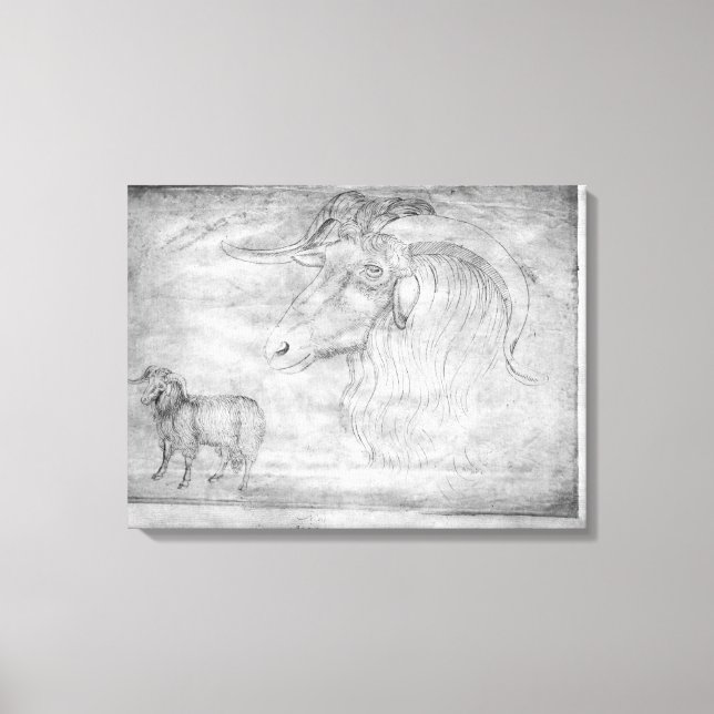 Ram and head of a ram canvas print (Front)